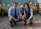 First prize pen of Cheviot Mule Gimmers at Longtown sold for £220 per head from Robert and Hazel McNee Over Finlarg-8